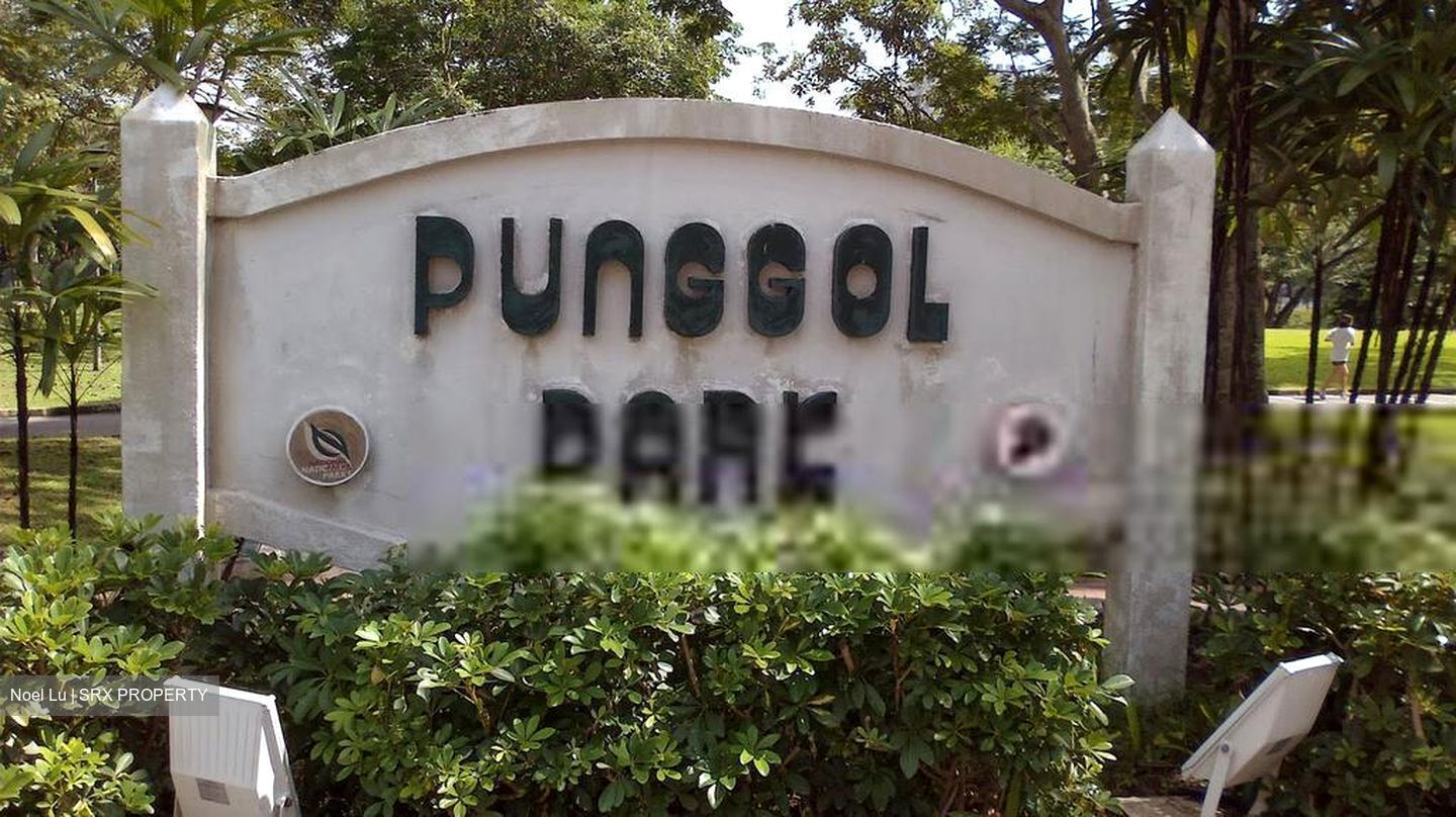 Blk 642 Hougang Avenue 8 (Hougang), HDB 3 Rooms #401179581